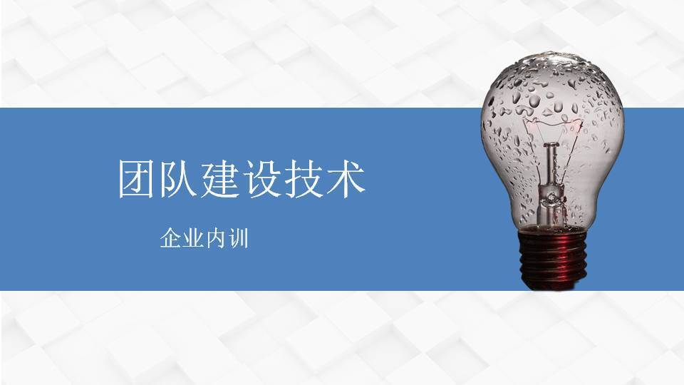 閻金岱《團隊建設(shè)技術(shù)》