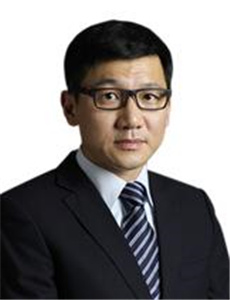 龍平
