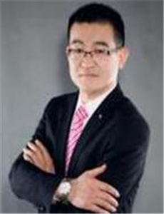 齊磊